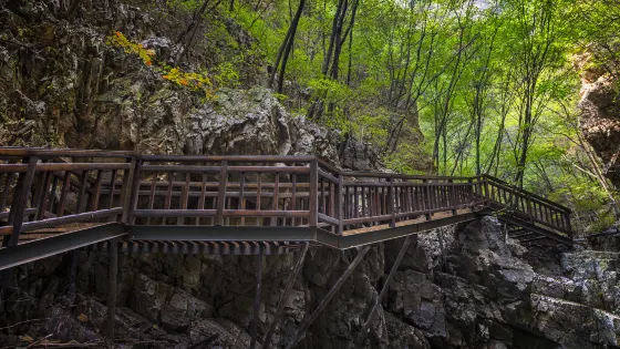 天子山