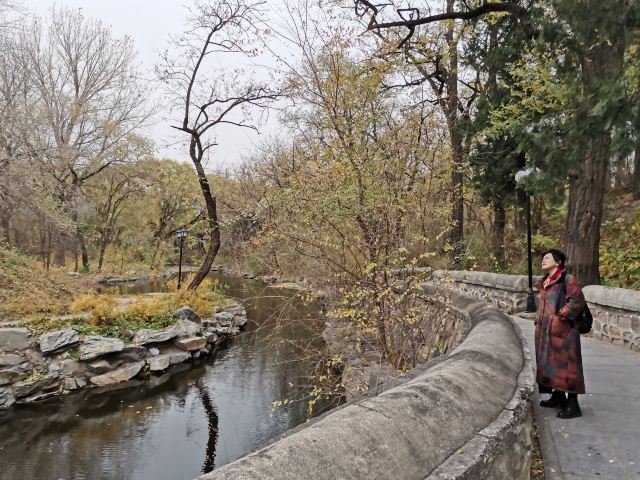 未名湖旅行图片 3