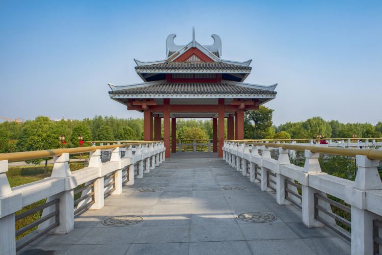 沙沟湖水杉公园