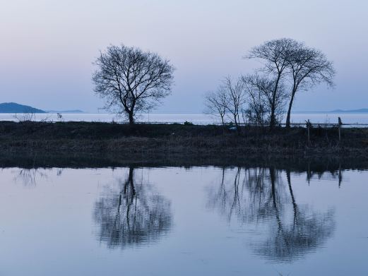 卧龙湖