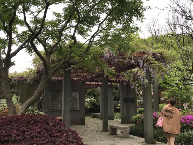 古藤园旅行图片 2