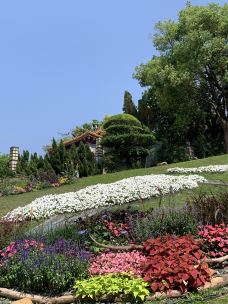 深圳国际园林花卉博览园-深圳-203****582