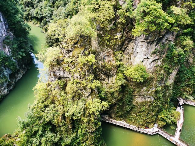 洒金公园旅行图片 3