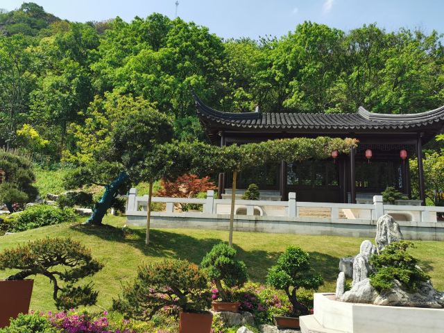 上海亭林遗址公园旅行图片 4