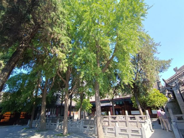 敕建万寿八仙宫旅行图片 2