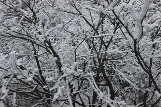 冬日峨眉，别样风情