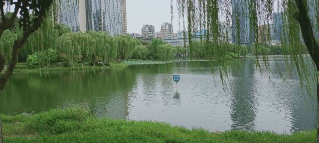 后襄河公园旅行图片 8