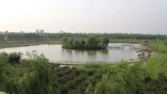 金屯濕地生態園