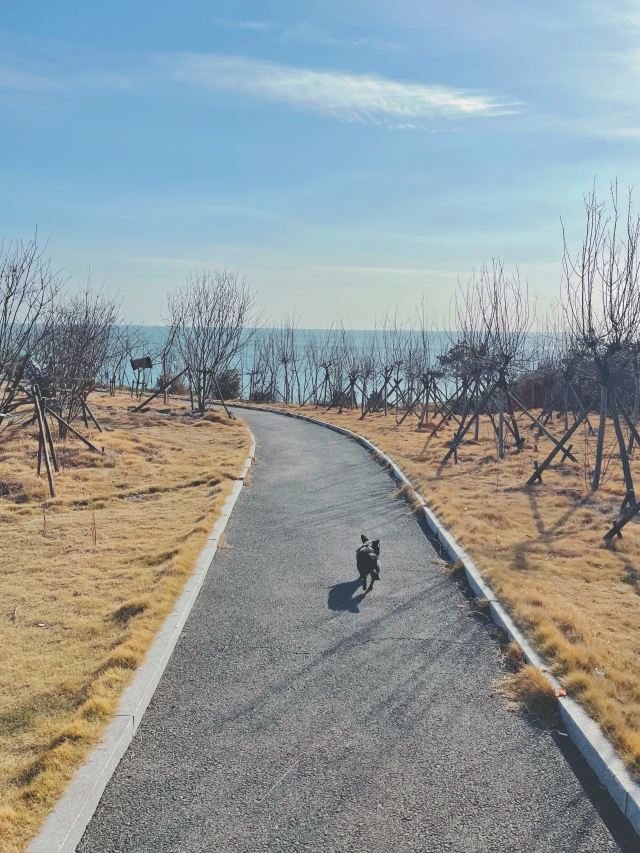 凤凰山公园旅行图片 8