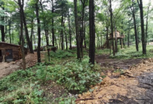 舒兰市301森林公园景点图片