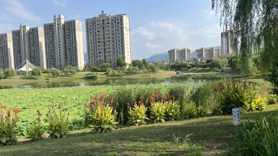 碧桂園濕地公園