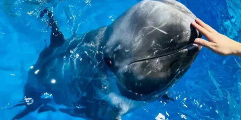 南寧極地海洋世界