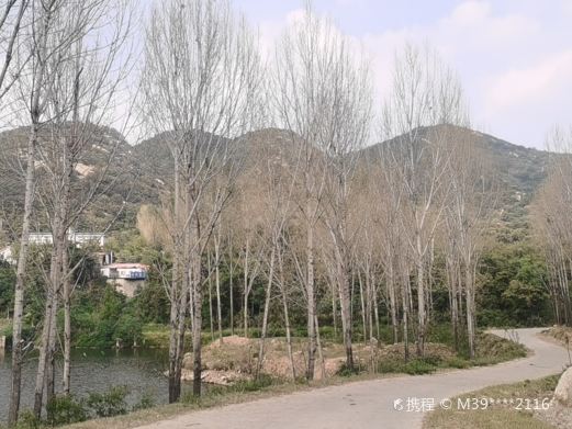 大寺森林公园