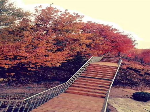 回龙山生态田园旅游区