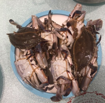 蓝极海鲜姿造(中东新天地店)