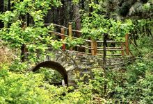 九龙山国家森林公园景点图片
