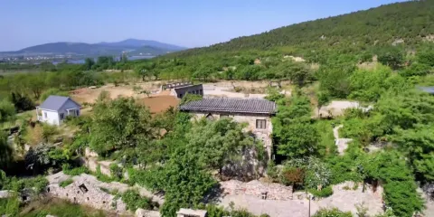 紫海藍山薰衣草莊園