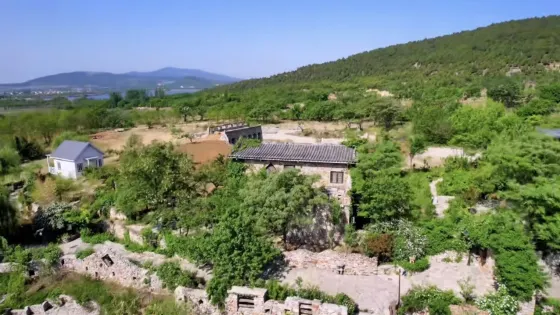 紫海藍山薰衣草莊園