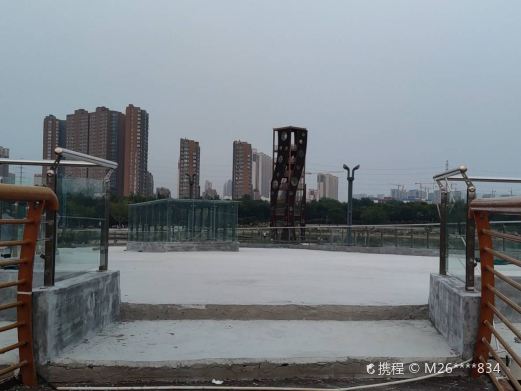 洪河湿地公园