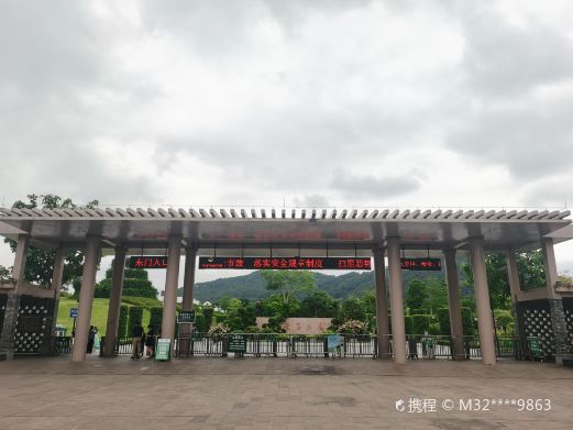 叶子花园