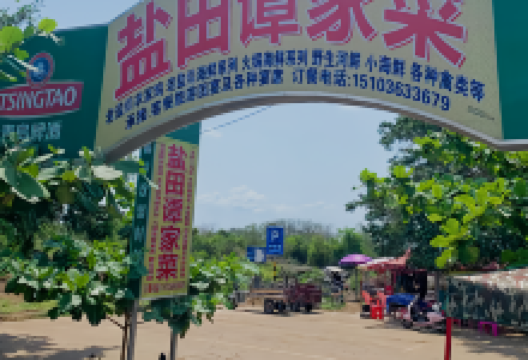 盐田谭家菜美食图片