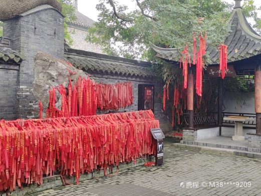 溱潼古镇旅游区-绿院垂槐