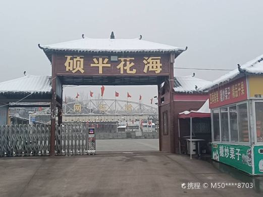 硕平花海