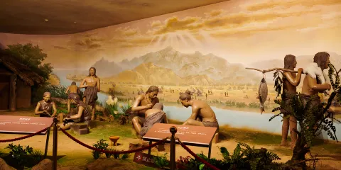 大汶口遺址博物館