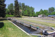 D.C. Booth Historic National Fish Hatchery & Archives景点图片