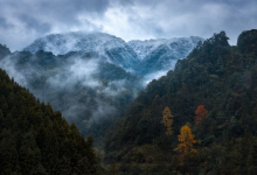 黄荆原始森林景点图片