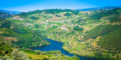南天門熱帶雨林公園