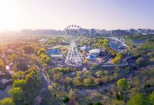 顾村公园景点图片