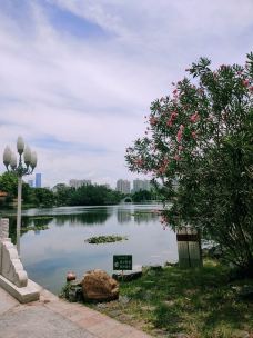 荔枝公园-深圳-那蓝茸蒻