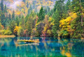 黄龙九寨站--九寨沟动车站到九寨沟单程或往返包车【[探秘巴蜀文化]了解九寨沟水景文化，打卡九寨沟景区，行程中无强制消费行程透明！】