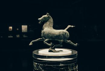 甘肃省博物馆+兰州黄河楼半日游【上门接送/早场+含门票预约】【畅览黄河楼，俯瞰黄河壮美风光，感受浓郁黄河文化；探秘甘肃省博物馆，邂逅海量稀世珍宝，触摸历史脉络。】