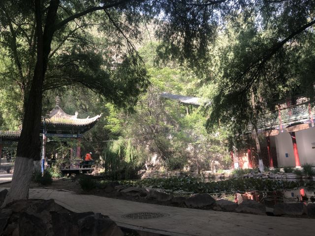 五泉山公园旅行图片 10