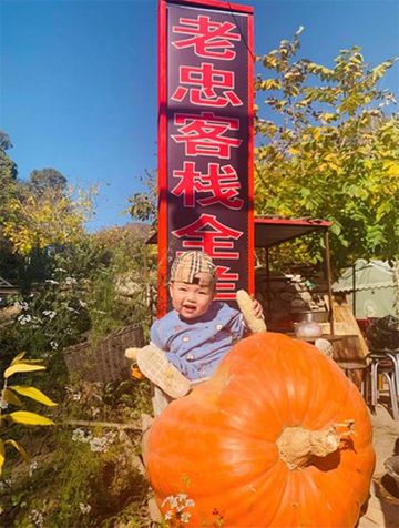 北京门头沟老忠客栈全羊宴,羊圈现挑一羊三烀,农村喜宴都来这!