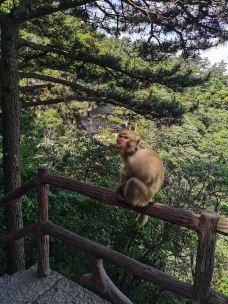 庐山国家重点风景名胜区-天桥-庐山-非你不渴