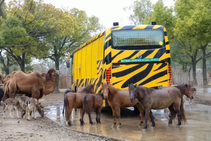 上海野生动物园-上海-睡恣@M丶