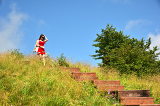 岚皋游记图片] 躺进绿绒绒的大草地，舒坦、宁静中享受清凉时光