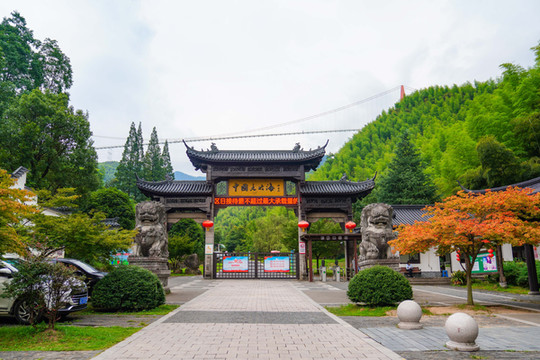 夏日清凉之旅|安吉大竹海秒拍美照刷爆好友圈