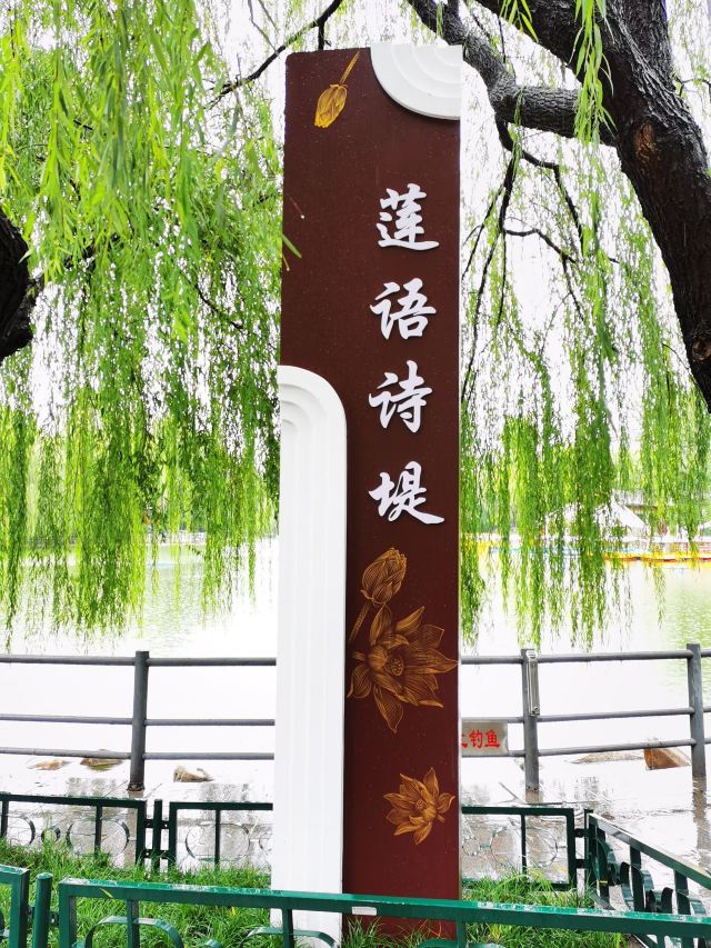 莲湖公园旅行图片 9