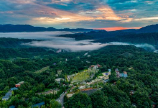 碧峰峡野生动物世界景点图片