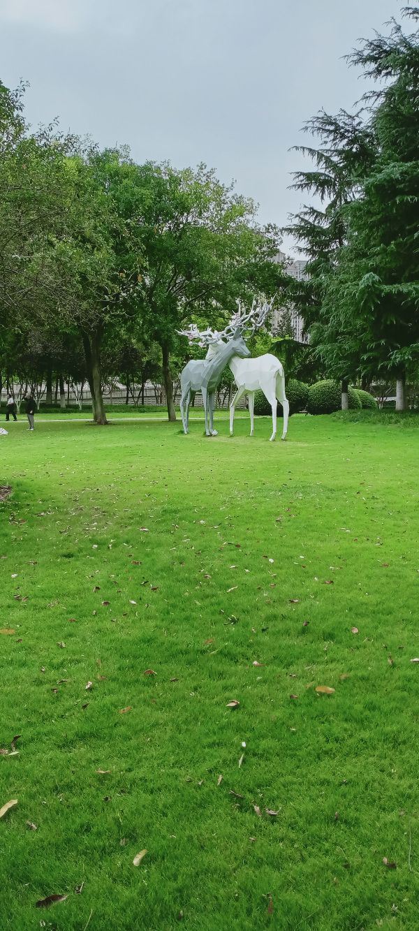 后襄河公园旅行图片 6