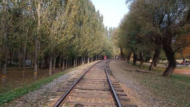 将府公园旅行图片 4