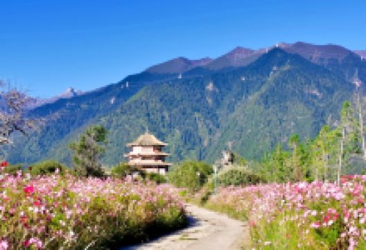 尼洋阁藏东南文化博览园景点图片