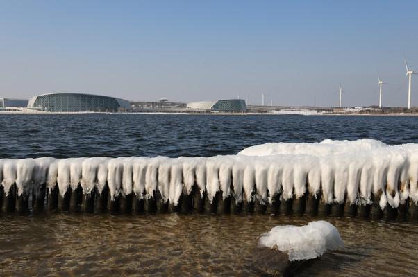 雪冰花