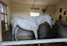 Club Hippique de Maurice景点图片