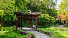 徐凫岩-宁波-C-IMAGE