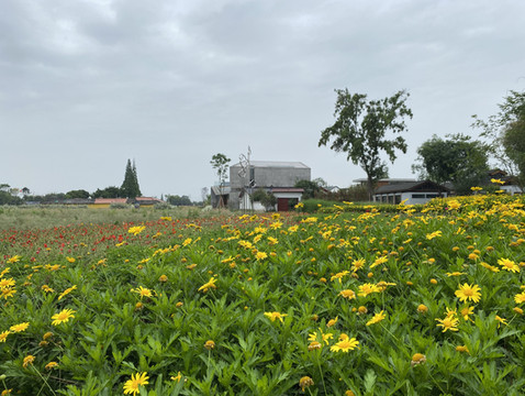 感受慢生活，品味真成都